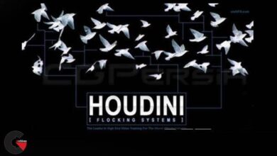cmiVFX – Houdini Flocking Systems
