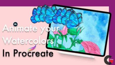 How to create animations in Procreate with watercolors for social media