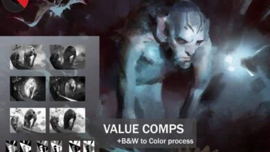 Value Comps + B&W to Color Process - Ahmed Aldoori