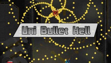Asset Store - Uni Bullet Hell