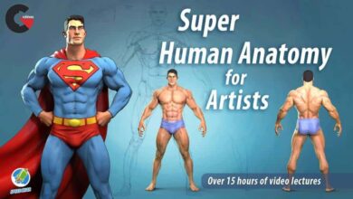 Super Human Anatomy course