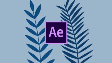 Skillshare - After effects Animating waving leaves and plant in After Effects