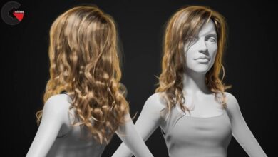 CGCookie - Styling and Shading Realistic Hair