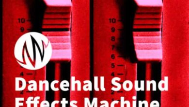 PSE The Producers Library Dancehall Sound Effects Machine Volume 1
