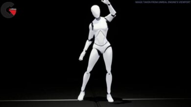 Unreal Engine - Female Interaction Animation Pack