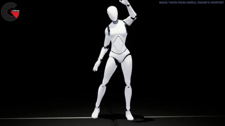 Female Interaction Animation Pack  - CGArchives
