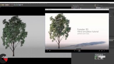 Patreon - Forester tutorial with Cinema 4D and Octane by Dusan Vukcevic