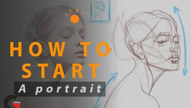 Skillshare - How to Start a Portrait Drawing Basic Analysis of the Head