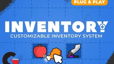 Asset Store – Inventory Plus – Customizable Inventory System