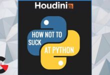 Gumroad – How not to suck at Python / SideFX Houdini