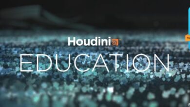 Houdini Insight - Houdini Office Hours - 2023 Sessions