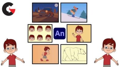 Mastering 2D Animation in Adobe Animate (Basic to Advance)