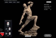 NMA - The Dynamic Anatomy Figure in Clay