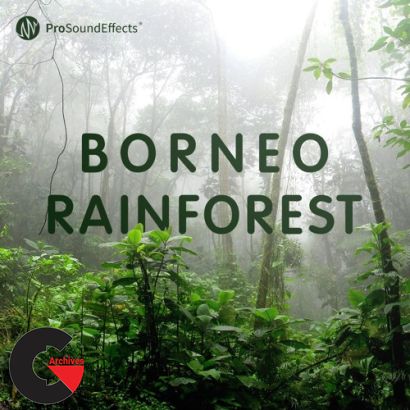 Pro Sound Effects - Borneo Rainforest