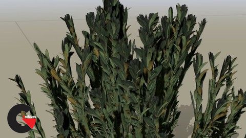 SpeedTree Foliage Guide: Creating 3DGrass and Bushes for UE5