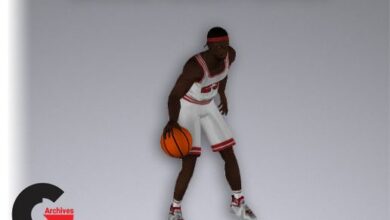 Asset Store – Basketball Player 8138 Tris