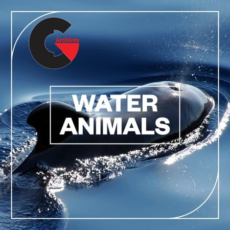 Blastwave FX - Water Animals