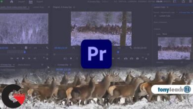 Learn Premiere Pro: Video Editing for Absolute Beginners