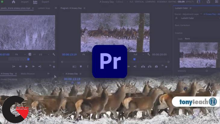 Learn Premiere Pro: Video Editing for Absolute Beginners