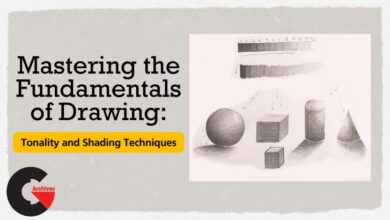 Mastering the Fundamentals of Drawing: Tonality and Shading Techniques