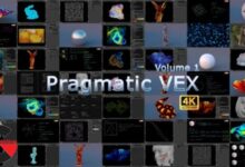 PRAGMATIC VEX: VOLUME 1