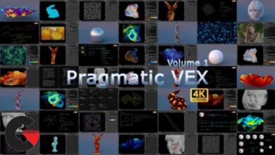 PRAGMATIC VEX: VOLUME 1