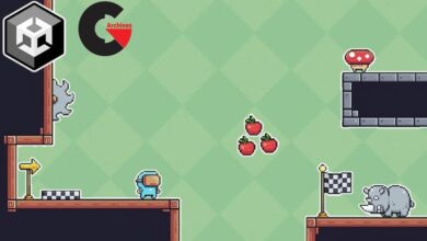 The Complete Guide to Unity 2D : Platformer Development