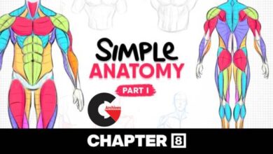 Simple Anatomy - Part I CH8
