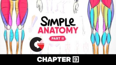 Simple Anatomy - Part II CH9