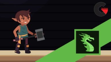 The Ultimate 2D Character Animation Course with Dragonbones