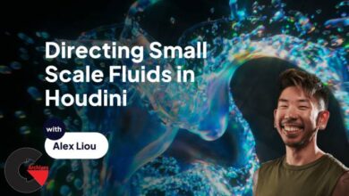 Directing Small Scale Fluids in Houdini