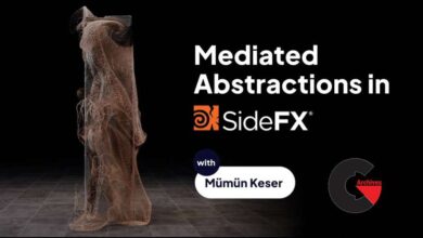 Mediated Abstractions in SideFX Houdini