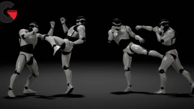 Asset Store – Combat animations - Kickboxing and Muay Thai V1