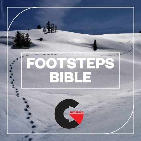 Blastwave FX - Footsteps Bible