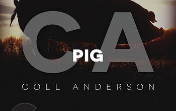 C.A. Sound Inc - Pig