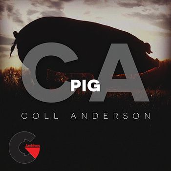 C.A. Sound Inc - Pig