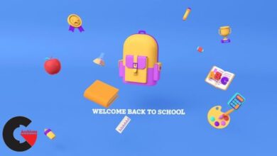 VideoHive – Back To School Logo 53658787