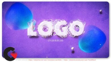 VideoHive – Stylish Blob Logo 53818715