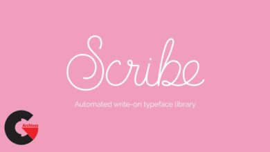 Aescript Scribe for After Effects