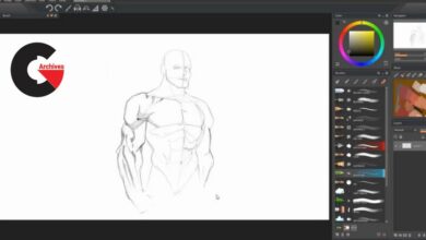 Anatomy 2.0 Draw the Figure From Imagination