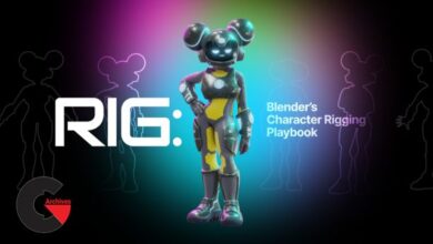 Rig Blender's Character Rigging Playbook