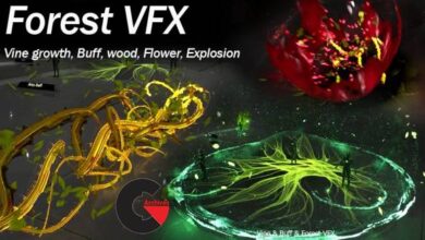 Unreal Engine – Nature VFX with Vine Growth