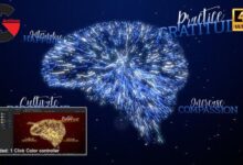 VideoHive – Mindset - Emerging Thought Intro 4K 24293512