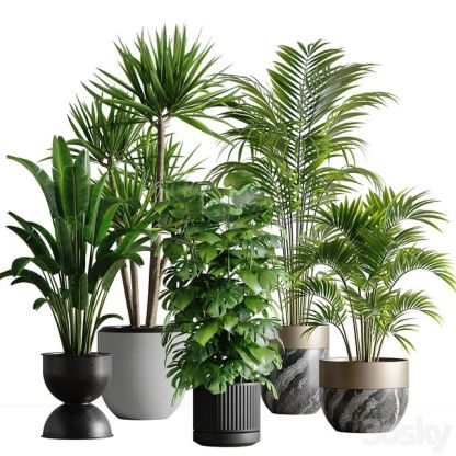 3Dsky Pro Models – Collection 475