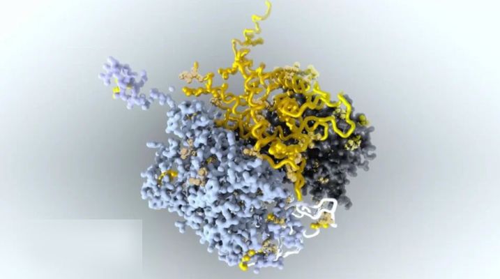 HS-227: Visualizing Protein Data Bank Information