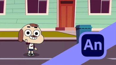 Complete Beginners Course for Adobe Animate