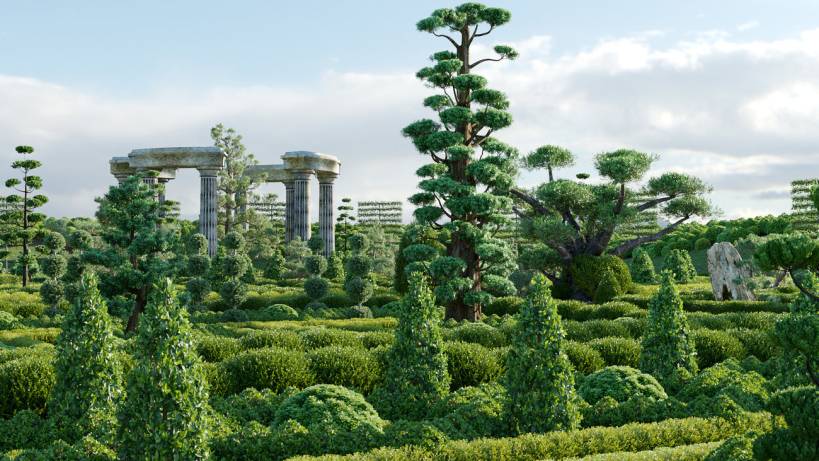 Globe Plants - Bundle 57 - Ornamental Plants & Hedge 02