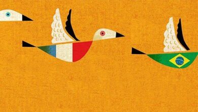 SVS Learn - Editorial Illustration
