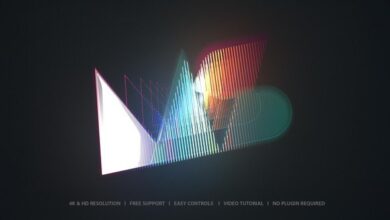 VideoHive – Logo Reveal 55572452