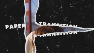 VideoHive – Paper Transitions 55597056